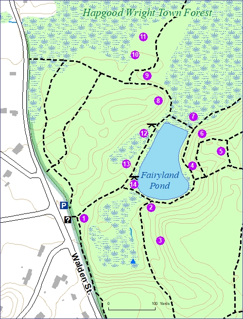 Art Ramble 2019 Digital Map