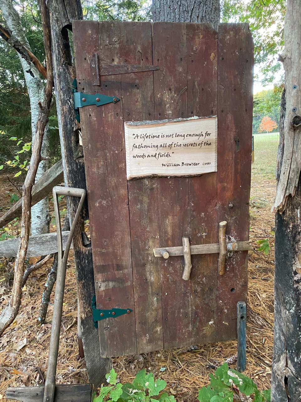 Brewsters Woods Door by Bill Turville