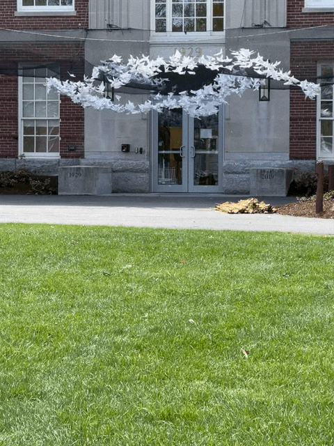 Animated GIF of Origami Doves Being Installed for Artfest