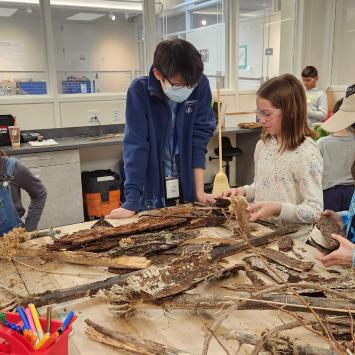 Teen Volunteer Brandon Nguyen oversees students making crafts with natural wood materials