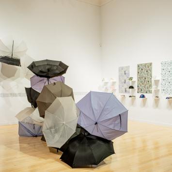 Civil Disobedience, Sally Lee