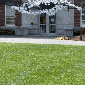 Animated GIF of Origami Doves Being Installed for Artfest