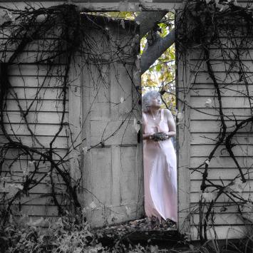 Nancy Roberts Photographer Nancy Roberts Photographer