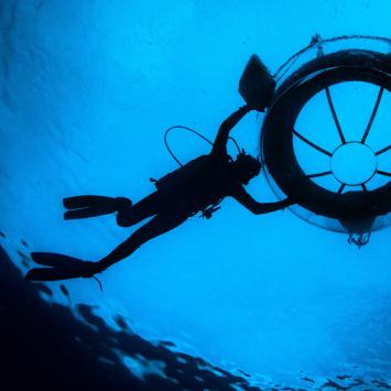 Nemo's Garden underwater diver photo by Giacomo d'Orlando