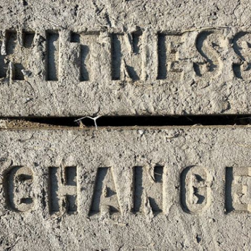 Witness Change Bricks